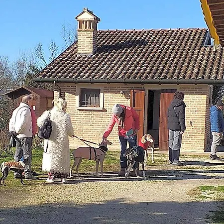 Szálloda Ca' Bianca 3*